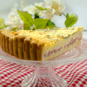 singi-quiche